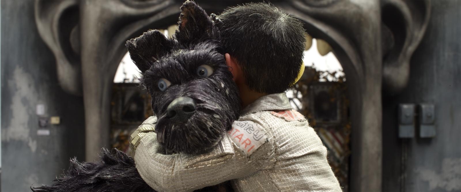 Köpek Adası Film Konusu