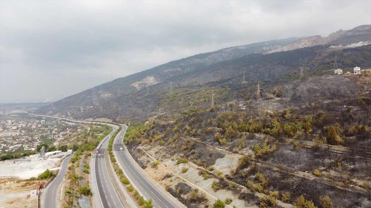 Hatay Haberleri