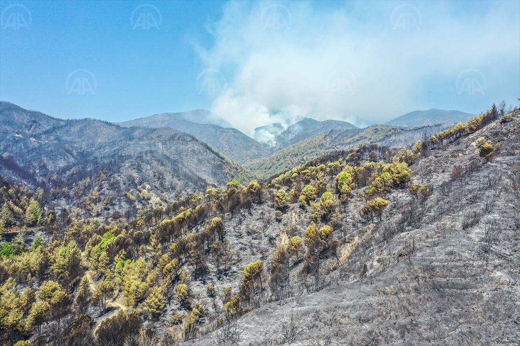 hatay yangın