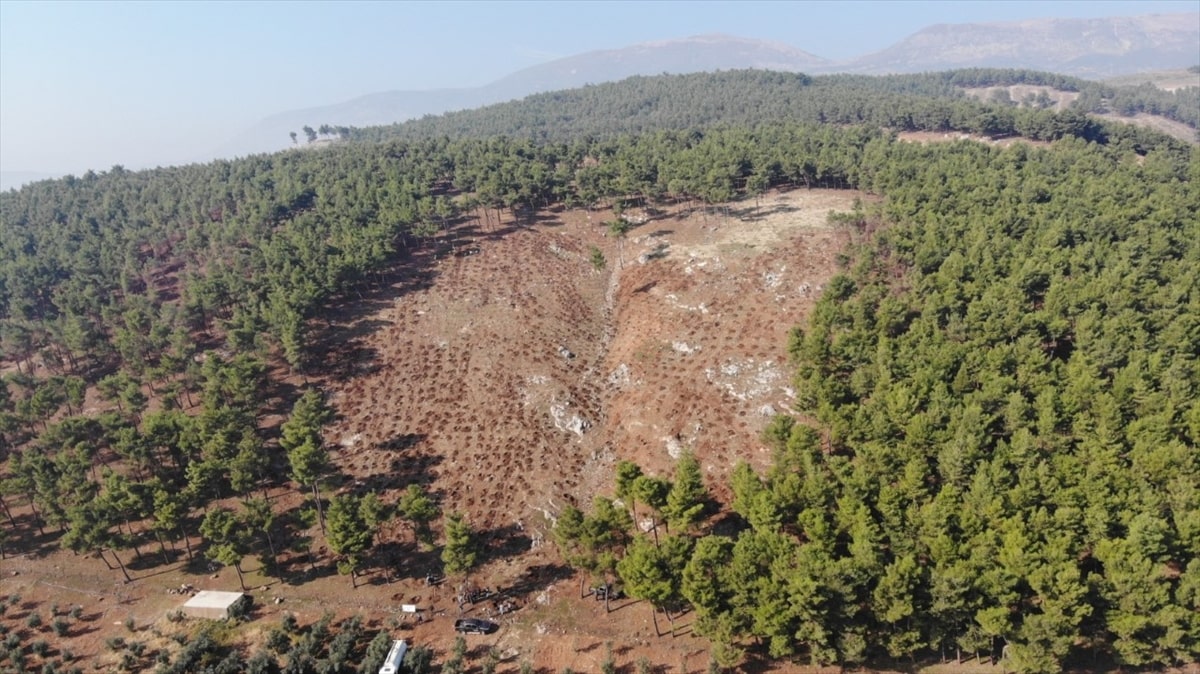 Ankara hataya fidan bağışında bulundu