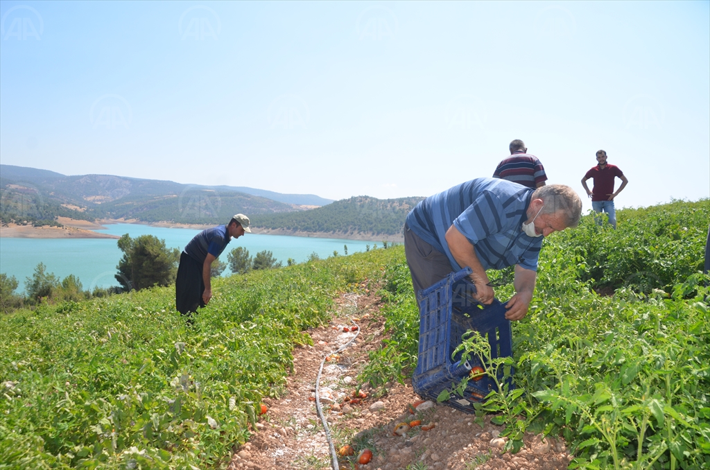 kahramanmaraş tarım