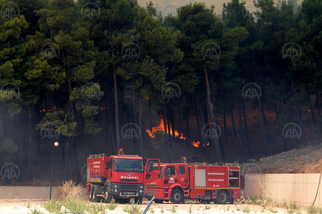 hatay yangın