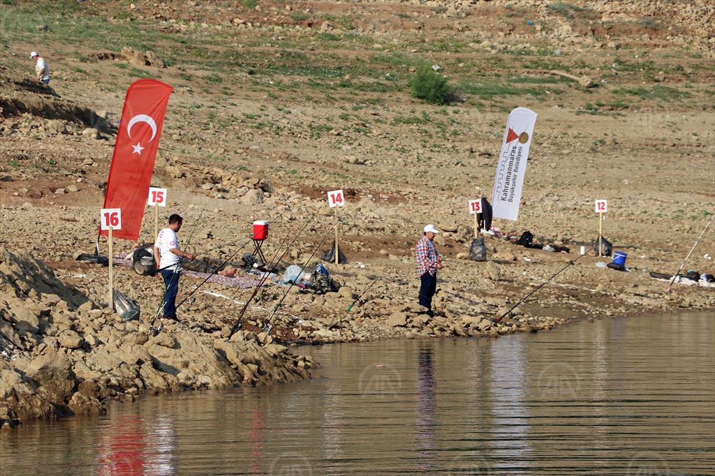 balık