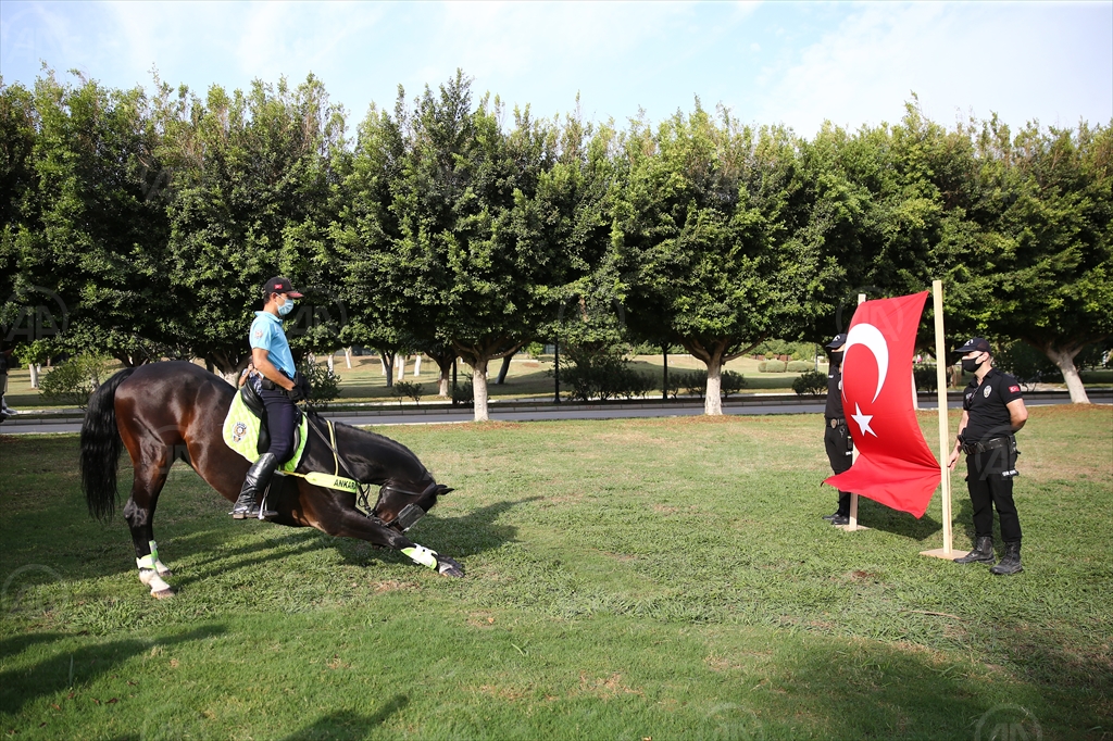 Türk Bayrağı Selamı