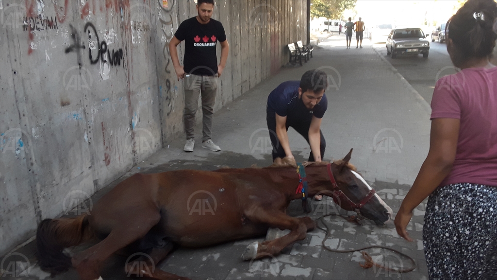 Adana Hava Sıcaklığı