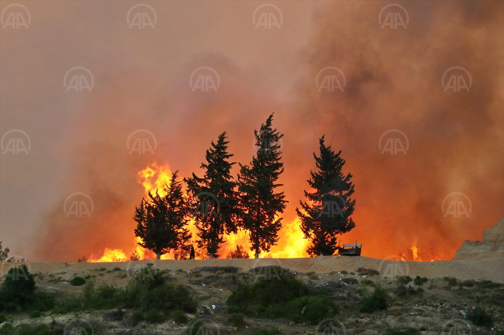 adana orman yangını