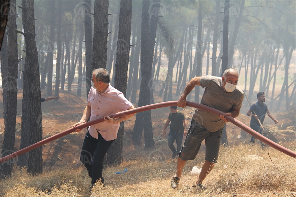 hatay yangın