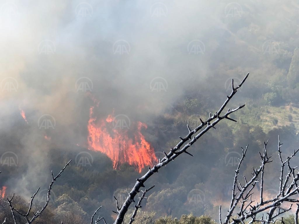 hatay orman yangını