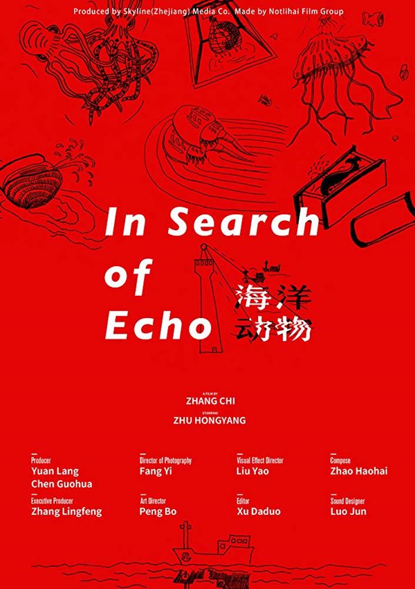 In Search of Echo