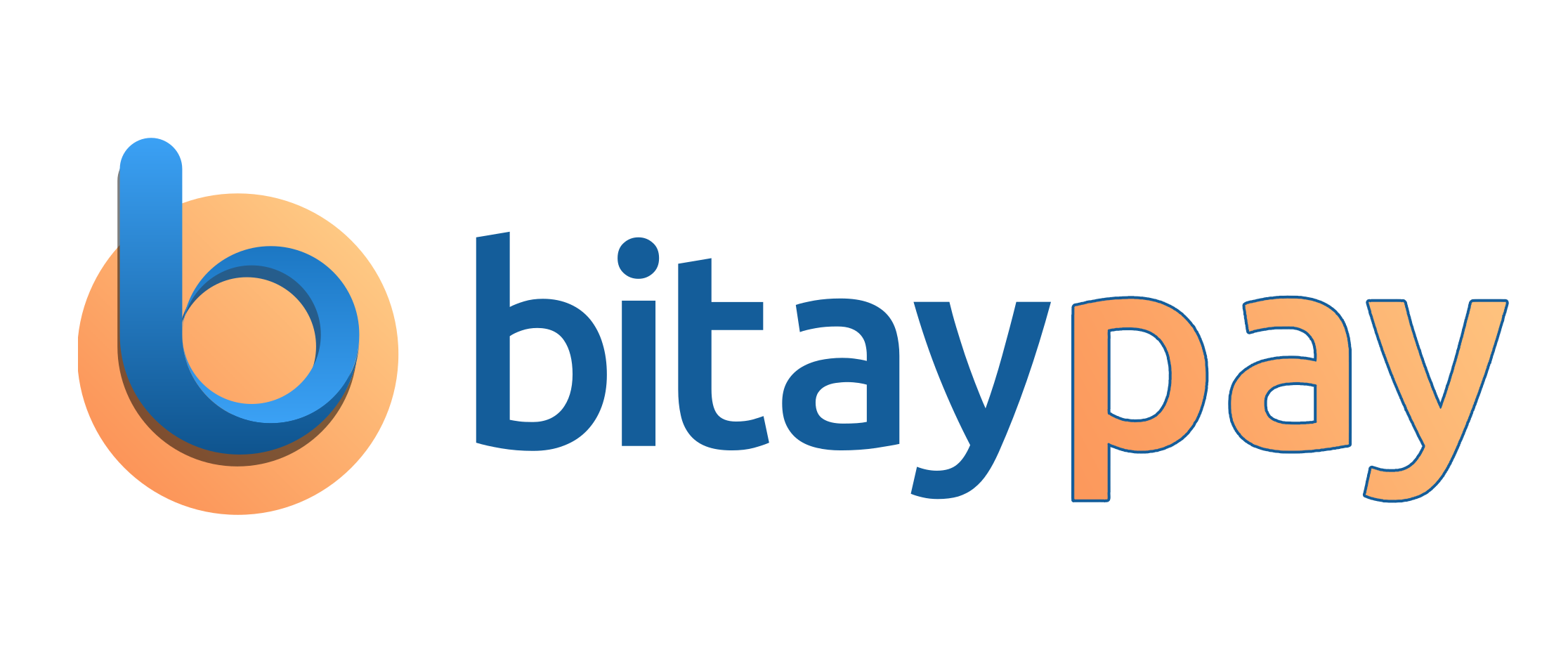 Bitaypay Ödeme Teknolojisi