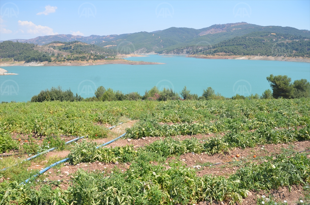 kahramanmaraş üretim